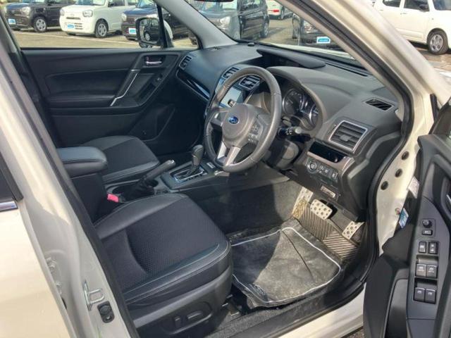 �u���̎Ԃ̎ʐ^�������ƌ������v�u��Ԃ��C�ɂȂ�v�u���̑����͂��Ă���H�v�ǂ�ȏ����ȋ^��ł����C�y�ɂ��₢���킹���������I