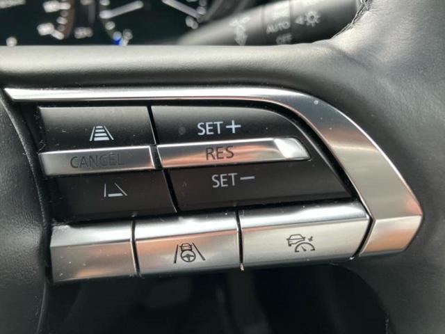 ＭＸ－３０ ヒョウジュン　新品タイヤ／保証書／純正　ＳＤナビ／衝突安全装置／全方位モニター／車線逸脱防止支援システム／シート　ハーフレザー／パーキングアシスト　バックガイド／電動バックドア／ヘッドランプ　ＬＥＤ　全周囲カメラ（29枚目）