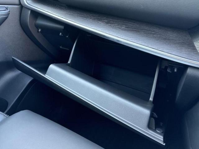 エクストレイル 4WD G e-4ORCE 保証書/ディスプレイオーディオ+ナビ12.3インチ/インテリジェントルームミラー/エマージェンシーブレーキ/シートヒーター/アラウンドビューモニター/車線逸脱防止支援システム/シート 合皮 電動シート(35枚目)