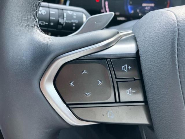 NX NX250バージョンL サンルーフ/保証書/ディスプレイオーディオ+ナビ14インチ/プリクラッシュセーフティ/シートヒーター/パノラミックビューモニター/車線逸脱防止支援システム/シート 合皮 衝突被害軽減システム ドラレコ(29枚目)