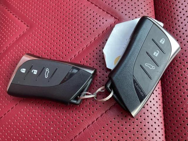 NX NX250バージョンL サンルーフ/保証書/ディスプレイオーディオ+ナビ14インチ/プリクラッシュセーフティ/シートヒーター/パノラミックビューモニター/車線逸脱防止支援システム/シート 合皮 衝突被害軽減システム ドラレコ(37枚目)