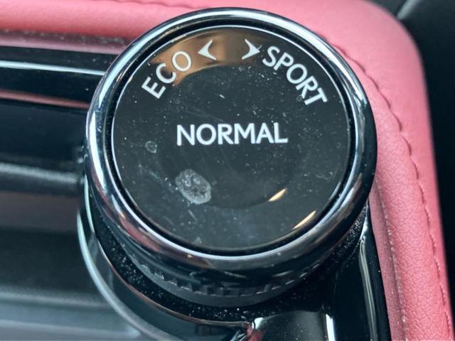 NX NX250バージョンL サンルーフ/保証書/ディスプレイオーディオ+ナビ14インチ/プリクラッシュセーフティ/シートヒーター/パノラミックビューモニター/車線逸脱防止支援システム/シート 合皮 衝突被害軽減システム ドラレコ(43枚目)