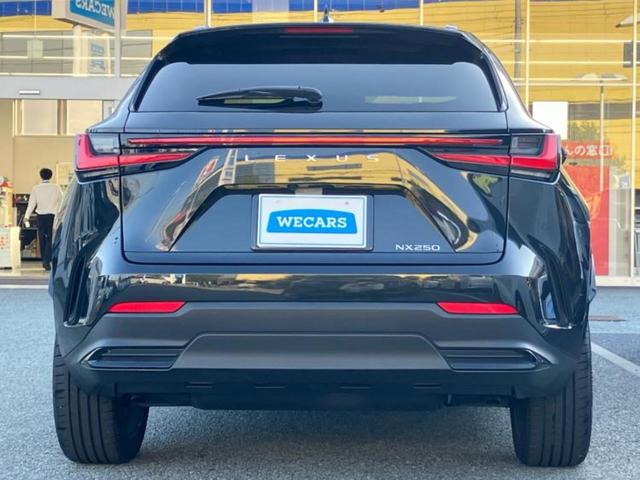 NX NX250バージョンL サンルーフ/保証書/ディスプレイオーディオ+ナビ14インチ/プリクラッシュセーフティ/シートヒーター/パノラミックビューモニター/車線逸脱防止支援システム/シート 合皮 衝突被害軽減システム ドラレコ(55枚目)