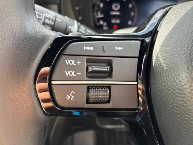 ステップワゴン スパーダプレミアムライン 新品タイヤ/保証書/純正 11インチ SDナビ/ホンダセンシング/両側電動スライドドア/シートヒーター 前席/マルチビューカメラシステム/車線逸脱防止支援システム/シート ハーフレザー バックカメラ(29枚目)