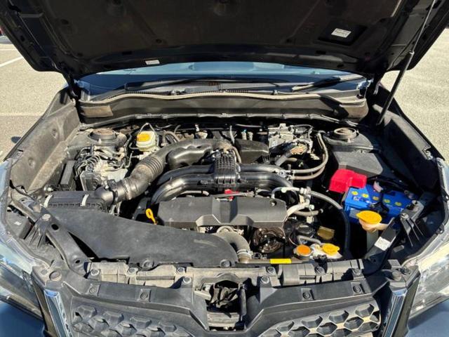 �S���ɓX�܂�W�J���Ă���̂łǂ��ł������񂹂��\�ł��I���̎Ԃ��C�ɂȂ邯�ǉ���������E�E�E�ƒ��߂�K�v�͂���܂���I���ʓr������K�v�ł��B