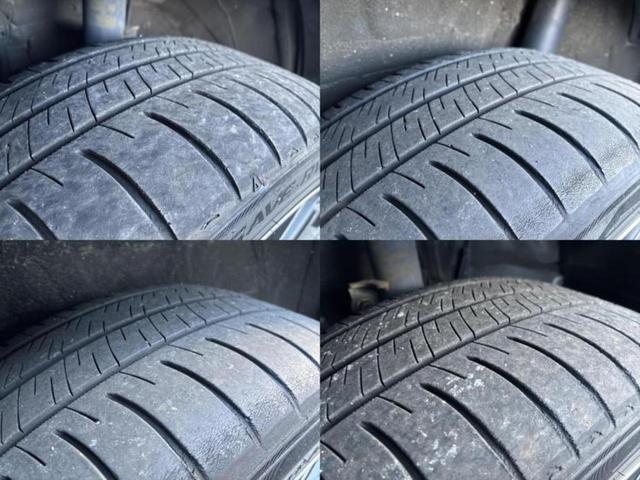 �u���̎Ԃ̎ʐ^�������ƌ������v�u��Ԃ��C�ɂȂ�v�u���̑����͂��Ă���H�v�ǂ�ȏ����ȋ^��ł����C�y�ɂ��₢���킹���������I