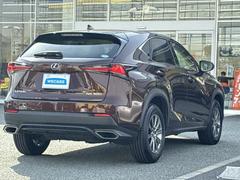 �����Ź�ޤ�Ÿ�����Ƥ���ΤǤɤ��Ǥ⤪���󤻤���ǽ�Ǥ������μ֤����ˤʤ뤱�ɱ��������顦�����������ɬ�פϤ���ޤ��󡪢�����Φ����ɬ�פǤ��� 3