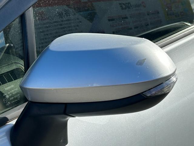 �d���i�[�~���[�I�E�C���J�[�h�A�~���[�I