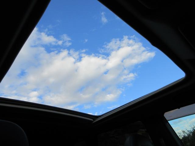 エクストレイル 20X 4WD・大型サンルーフ・純正6型ナビ(CD DVD SD BT REC フルセグ VTR)Bカメラ・ETC・前席シートヒーター・ヒルスタートアシスト・ヒルディセンコントロール・ハーフレザーシート(47枚目)