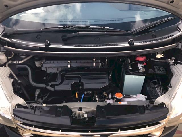 ステラ L(18枚目)