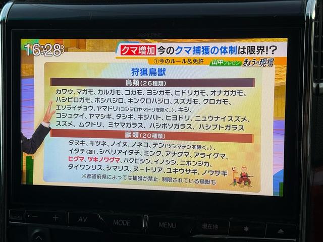 ヴェルファイア ２．４Ｚ　プラチナセレクションＩＩ　両側パワースライドドア　電動リアゲート　ツインサンルーフ　アルパイン１０インチナビ　アルパイン１１．５インチフリップダウンモニター　バックカメラ　オットマンシート　純正１８インチＡＷ　ＨＩＤライト（23枚目）