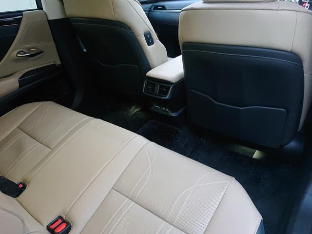 ＥＳ ＥＳ３００ｈ　バージョンＬ　ムーンルーフ／ベージュ革シート／セーフティシステムプラス／ＢＳＭ／ＰＫＳＡ／カラーヘッドアップディスプレイ／純正１８インチアルミ／３眼ＬＥＤヘッドライト／パノラミックビューモニター／ナビ／ＴＶ（65枚目）