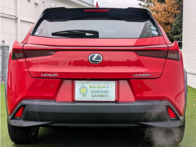 �����Ă��炪�s���ȕ��������͂��B�Ђ܂��K�[�f���_�˖{�X�ł̓A�t�^�[�P�A�������S���������B