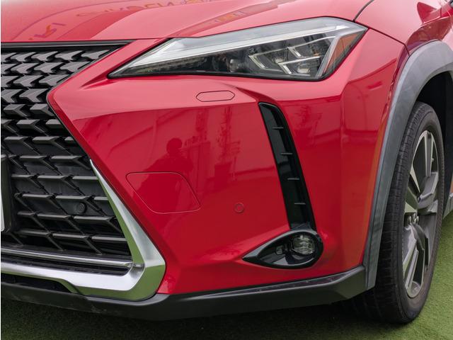 ���X�͑��ۃW���p���̑㗝�X�ł������܂��B�ی��f�f�����������Ŏ��{���B���S�E���S�ȃJ�[���C�t�����͂����邱�Ƃ����񑩂������܂��B