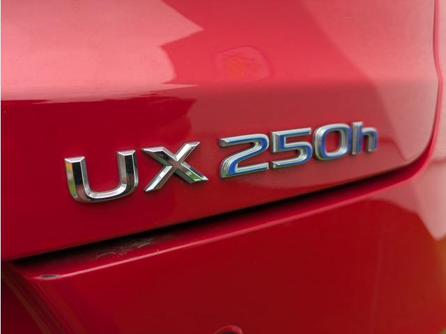 �S���̔̔��ɑΉ����Ă���܂��I�䌩�ς͐��񂨖⍇���������I