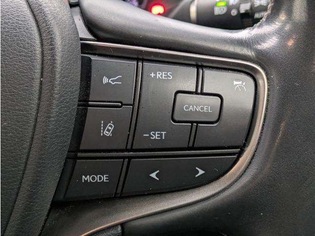 �y�����Ԃ���O�Ԃ܂őI�є����ꂽ���E�ߎԗ���W����