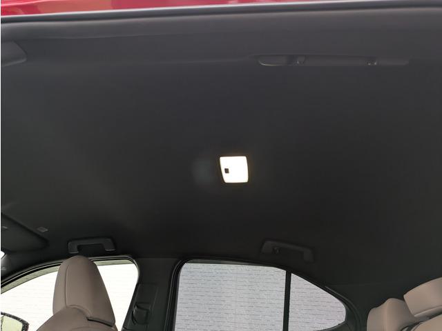 �y�_���z���_��̂��Ԃ͔F�ؐ����H��œ_��������̂����n���ƂȂ�܂��̂ł����S��������