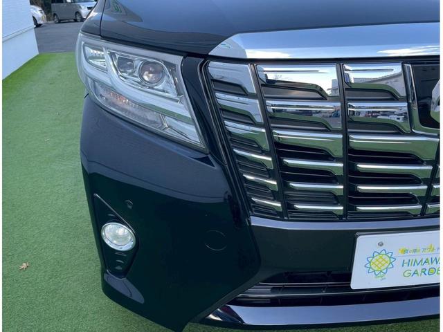 �{�f�B�[�R�[�e�B���O�����C���������I�I���Ǝҗl�ɔ[�ԑO�����Ƃ����Ē����܂��B�[�Ԃ̎��̓x�X�g�ȃR���f�B�V�����ł��[�Ԃ��\�ł��B