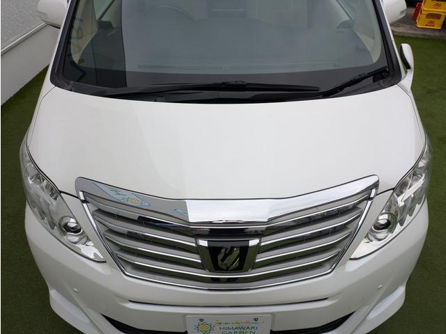 �C�ɂȂ鏝��A�ڍׂ����`�����܂��I