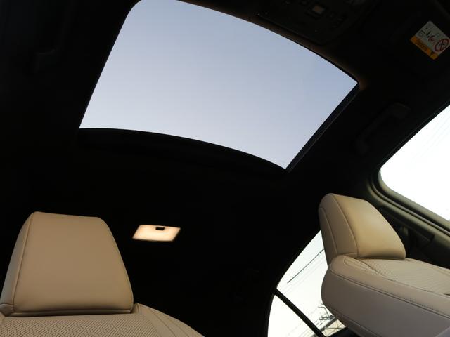 UX250hVerL HUD ムーンルーフ Fスポーツエアロ(39枚目)