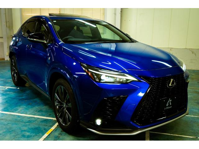 ���N�T�X�@�m�w�R�T�O�@�e�X�|�[�c�@�S�v�c�@���ׂ������܂����I�I