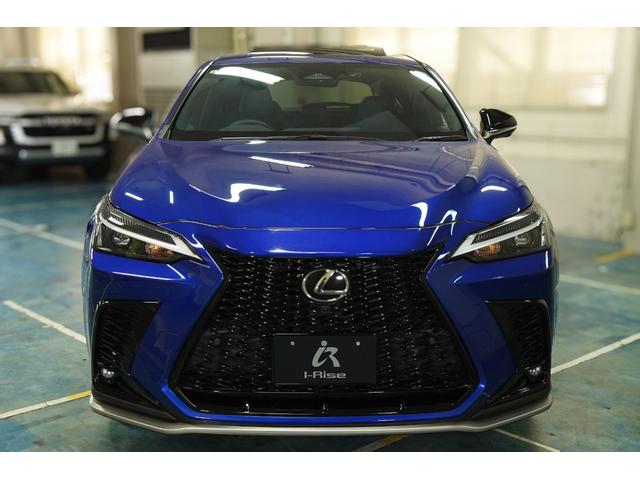 �q�[�g�u���[�R���g���X�g���C�������O�@�i�W�w�P�j