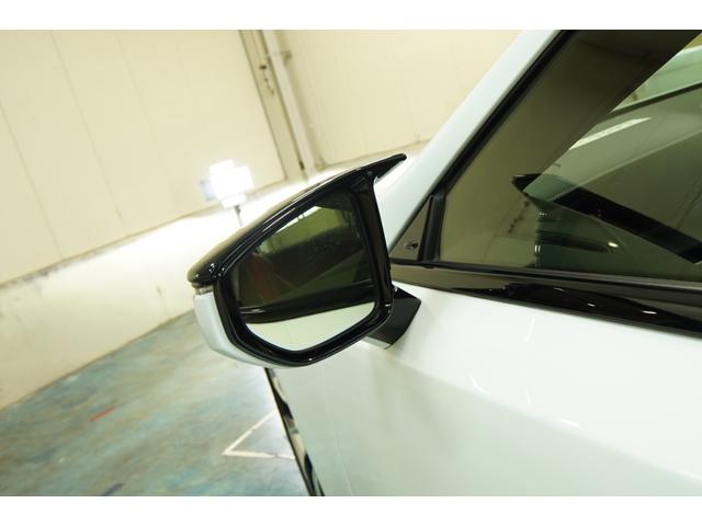 �u���C���h�X�|�b�g���j�^�[