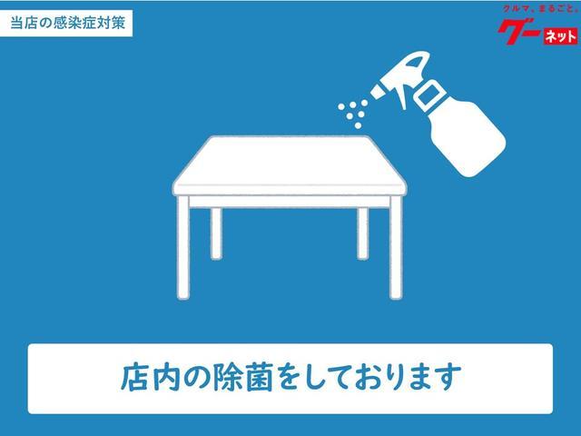 ＸＧエアロ　社外アルミ　社外ナビ　ＴＶ　ＨＩＤ　フォグ　５ＭＴ　スマートキー　鑑定書付(42枚目)