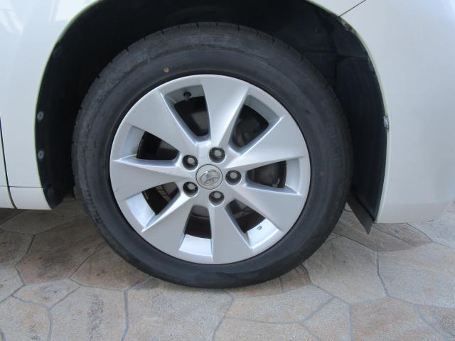 �����A���~�t��