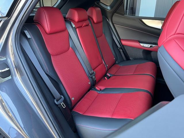 NX NX350 Fスポーツ マークレビンソンプレミアムサラウンドサウンドシステム/パノラマルーフ/3眼フルLEDヘッドランプ/ブラインドスポットモニター/ブラックルーフレール/パノラミックビューモニター(18枚目)