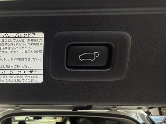 ヴェルファイア ２．５Ｚ　Ｇエディション　ムーンルーフ　純正１０型ナビＴＶ　純正後席モニター　プリクラッシュ　ＡＣＣ　Ｂカメラ　ＥＴＣ２．０　ドラレコ　ワンオーナー禁煙　パワートランク　ステアヒーター　パワーシート　両側パワスラ　ＬＥＤランプ（25枚目）