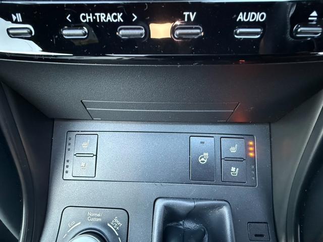 ＩＳ ＩＳ３００ｈ　Ｆスポーツ　ムーンルーフ　革スポーツシートセット　３眼フルＬＥＤヘッドランプ　パノラマビューモニター　オレンジキャリパー　ワンオーナー　禁煙車　ミラー型ドラレコ　ＥＴＣ２．０　ベンチレーション（34枚目）