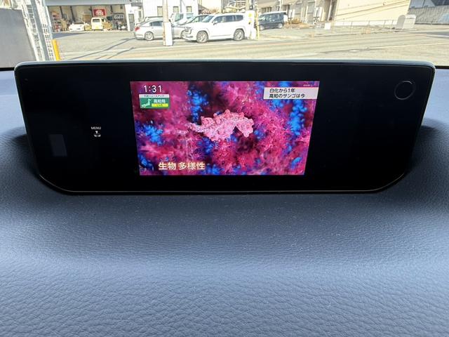 ＭＸ－３０ロータリーＥＶ ナチュラルモノトーン　８．８型ナビＴＶ　３６０度ビュー　ＢＳＭ　Ｂｏｓｅ　シートヒーター　ＨＵＤ　ＥＴＣ　前後ドラレコ　アダプティブＬＥＤランプ　１８ＡＷ　メモリー付パワーシート　ＡＣ１００Ｖ１５００Ｗ　ステアヒーター（47枚目）