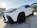 ＮＸ３５０ｈ　Ｆスポーツ　ＴＲＤエアロＦＳＲ　サンルーフ　デジタルミラー　レクサスチームメイト　　３眼フルＬＥＤ　おくだけ充電　ブレーキキャリパー　デジタルキー　ワンオーナー　１４型ＤＡナビＴＶ　ＥＴＣ２．０　赤革シート（32枚目）