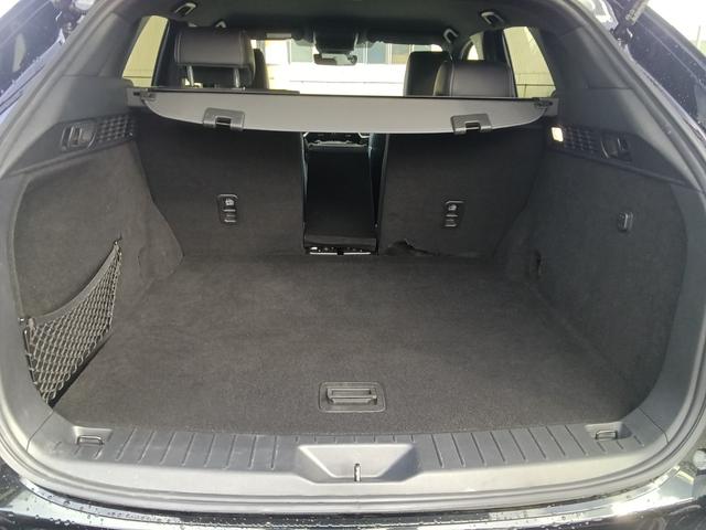 �S�F�Q�F�S�����|���V�[�g