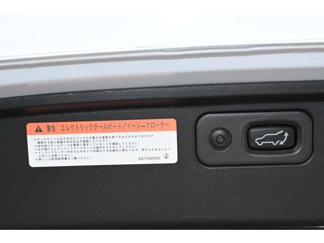 デリカＤ：５ シャモニー　１１型ナビ　前後ドラレコ　全周囲カメラ　アイドリングＳ　アクティブクルーズコントロール　イモビ　衝突被害軽減装置　Ｂモニター　サイドカメラ　ＥＴＣ　助手席エアバッグ　地デジＴＶ　電動リアゲート　４ＷＤ（18枚目）