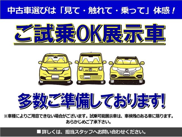 Ｇ・Ｌパッケージ　ケンウッドナビ　ワンセグ　Ｒカメラ　ＥＴＣ　ＨＩＤ　左ＰＳＤ(44枚目)