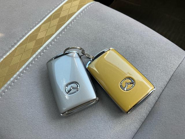 ＭＡＺＤＡ２ １５Ｓ　サンリットシトラス　セーフティクルーズパッケージ　ナビＴＶフルセグ　Ｂｌｕｅｔｏｏｔｈ接続可　バックカメラ　全周囲モニター　前後ドラレコ　ＥＴＣ　レーダークルーズ　シートヒーター　スマートキー　専用キーシェル（45枚目）