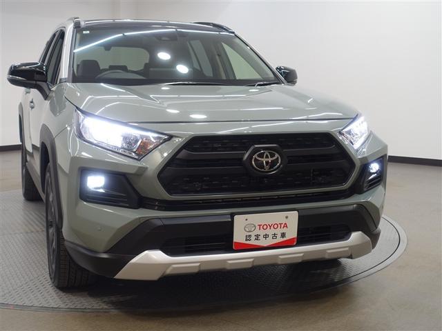 �k�d�c�w�b�h���C�g�𑕒����Ă���A�Â��铹�ł����S�ł��܂��I