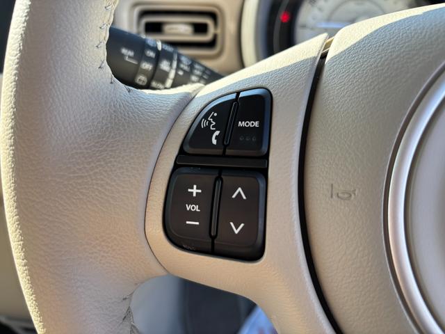 アルトラパン Ｘ　５型　ＬＥＤヘッドランプ　全方位モニター付オーディオレス　デュアルカメラブレーキ｜後退時ブレーキサポート｜ＬＥＤヘッドランプ｜フルオートエアコン｜運転席シートヒーター｜ＵＳＢ電源ソケット｜リモート格納式ドアミラー｜（38枚目）