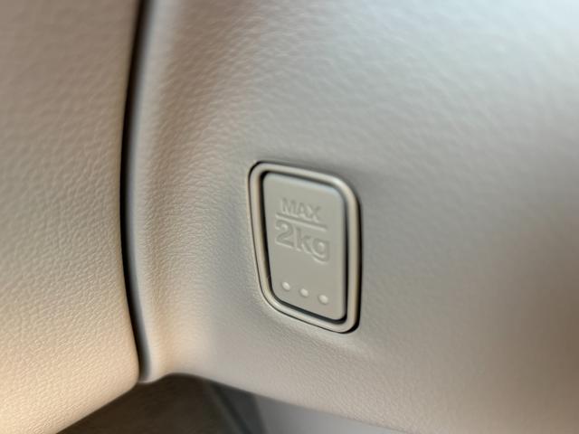 アルトラパン Ｘ　５型　ＬＥＤヘッドランプ　全方位モニター付オーディオレス　デュアルカメラブレーキ｜後退時ブレーキサポート｜ＬＥＤヘッドランプ｜フルオートエアコン｜運転席シートヒーター｜ＵＳＢ電源ソケット｜リモート格納式ドアミラー｜（49枚目）