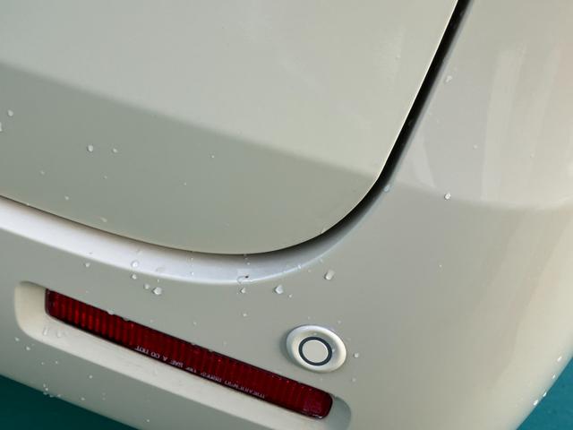 スペーシア ＨＹＢＲＩＤ　Ｘ　２型（48枚目）