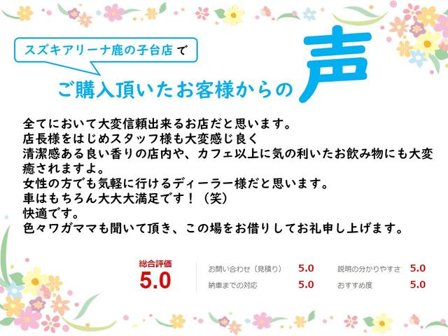 ハイブリッドRS ケンウッドメモリーナビ 地デジTV LEDヘッドライト フォグライト オートライト リアフォグ クルコン ステリモ パドルシフト アイスト 純正16インチアルミ スマートキー ドラレコ ETC(3枚目)