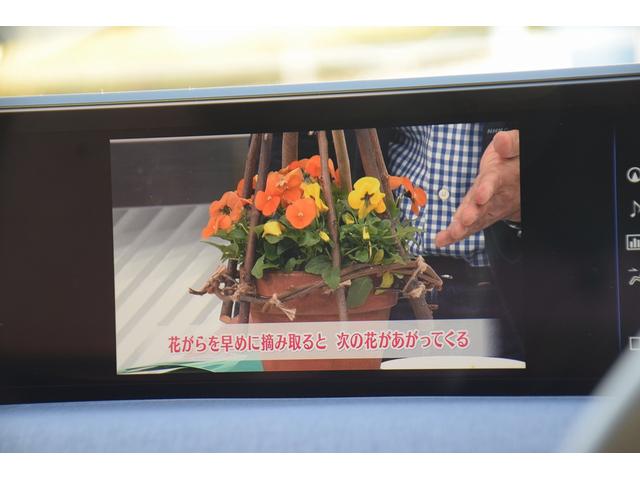 ＵＸ ＵＸ２００　アーバンエレガンス　ムーンルーフ／メーカーナビ／パノラミックモニター／セーフティ／レザーシート／パワーシート／シートヒーター／ステアリングヒーター／パワーバックドア／ワンオーナー／（28枚目）