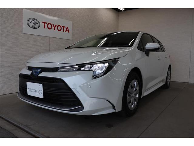 �铹�����邢�k�d�c�w�b�h���C�g�𑕔��B�ʏ�̃n���Q���o���u�ɔ�׎����������A�_���܂ł̎��Ԃ��Z���������͂̈��