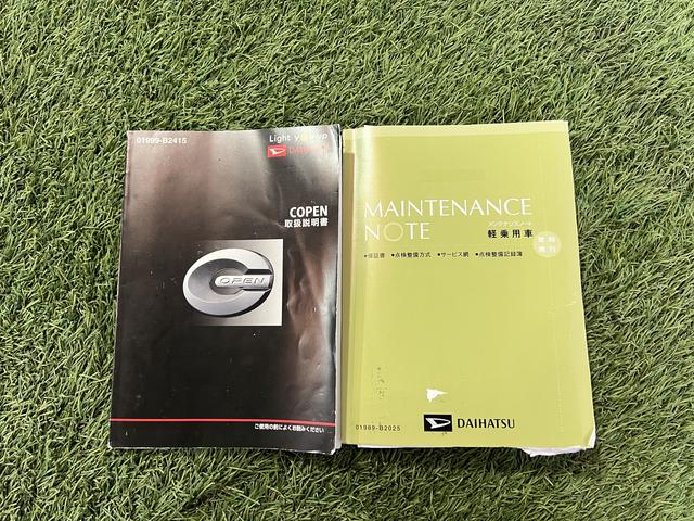 �T���̂��o�����ɂ��������߂̂P��ł�