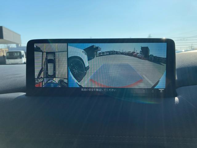 CX-8 25T エクスクルーシブモード 2WD ガソリンターボ 禁煙 純正ナビ ETC ドラレコ BOSEスピーカー ダークブラウンシート シートヒーター/ベンチレーション 360°ビューモニター(29枚目)