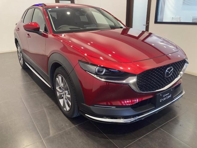 ＣＸ－３０ ２０Ｓ　プロアクティブ　ツーリングセレクション　純正エアロ　ワンオーナー車　フルメンテ　ナビ　ＥＴＣ　３６０度カメラ（3枚目）