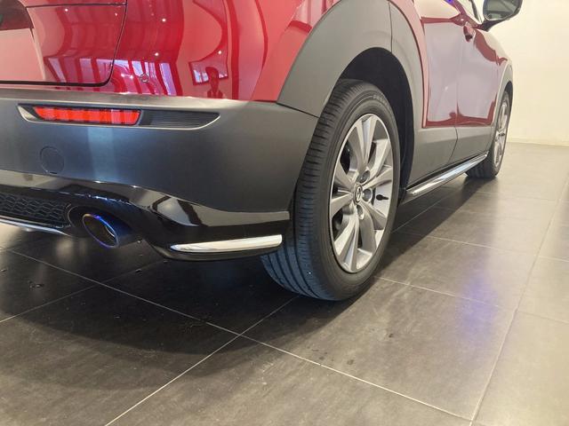 ＣＸ－３０ ２０Ｓ　プロアクティブ　ツーリングセレクション　純正エアロ　ワンオーナー車　フルメンテ　ナビ　ＥＴＣ　３６０度カメラ（4枚目）