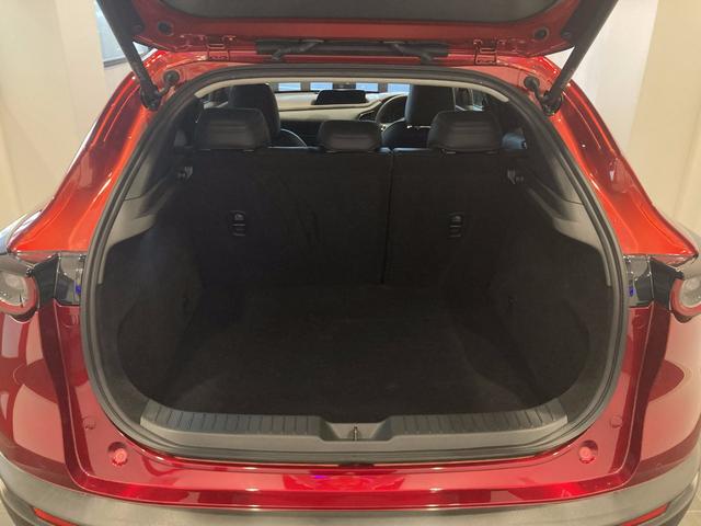 ＣＸ－３０ ２０Ｓ　プロアクティブ　ツーリングセレクション　純正エアロ　ワンオーナー車　フルメンテ　ナビ　ＥＴＣ　３６０度カメラ（9枚目）